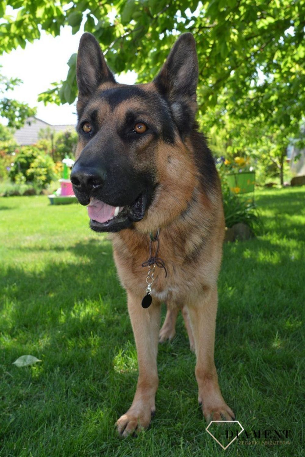 Kółko blaszka dla pupila czarna 2,5 cm z miejscem na grawer.Kółko blaszka dla pupila czarna 2,5 cm z miejscem na grawer. Blaszka w formie adresówki, identyfikatora dla psa. Blaszka z miejscem na grawer..jpg